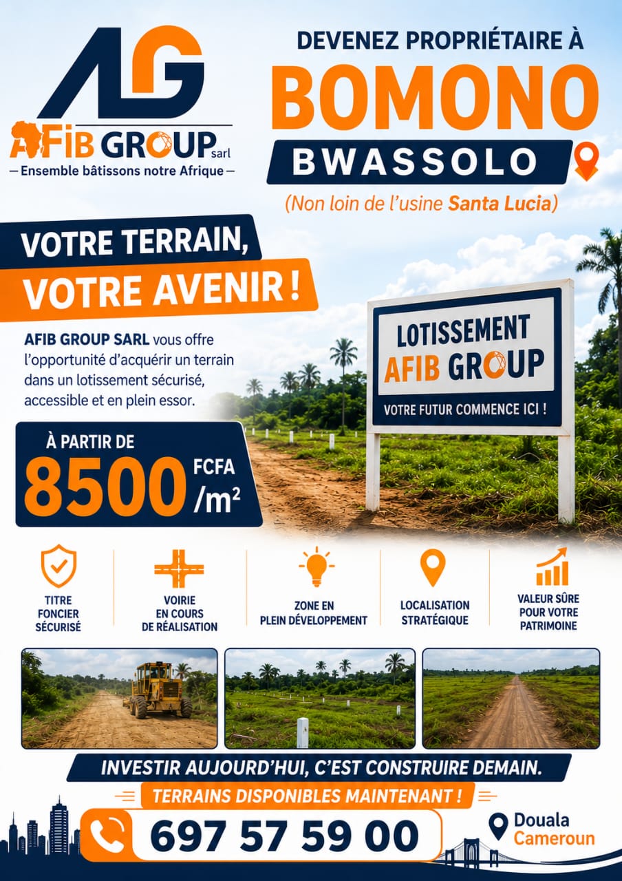Projet Bomono - AFIB GROUP