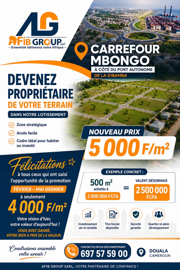 Projet Mbongo - AFIB GROUP