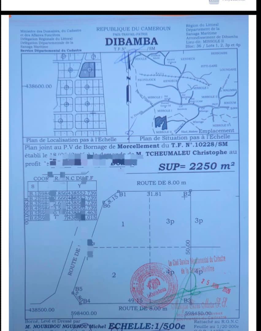 Plan de bornage Bloc 36 Lots 1 2 3p et 4p