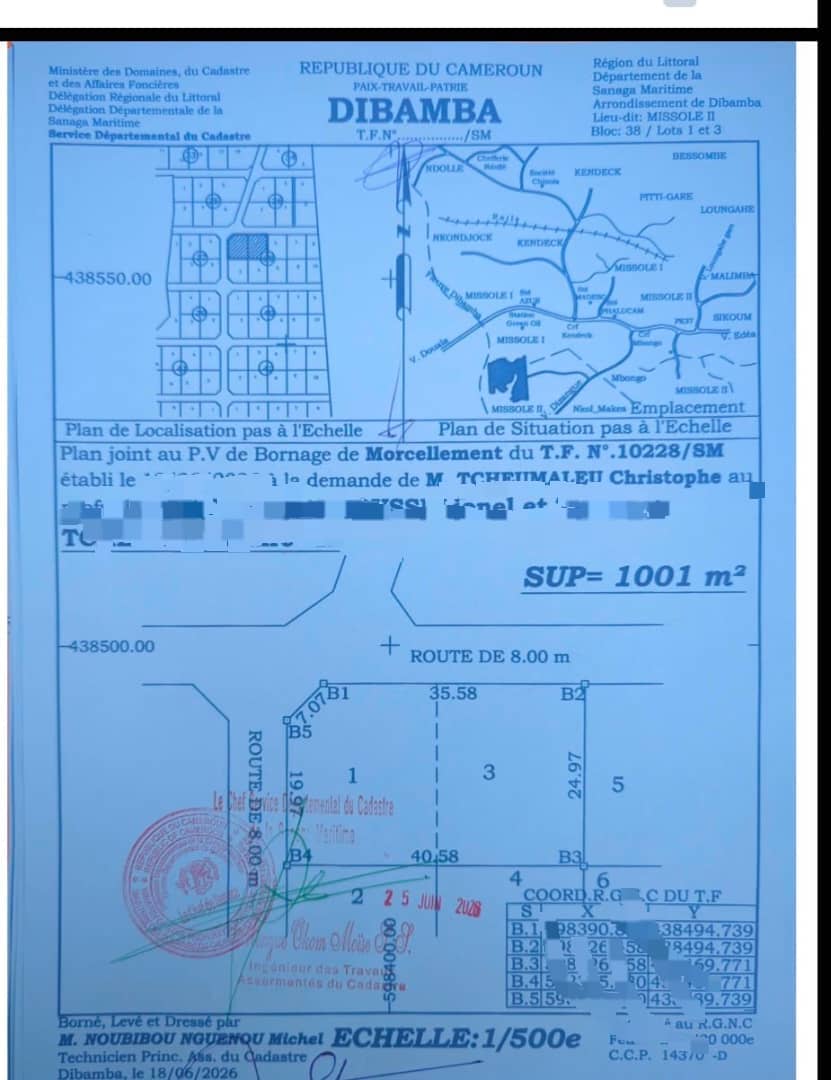 Plan de bornage Bloc 38 Lots 1 et 3