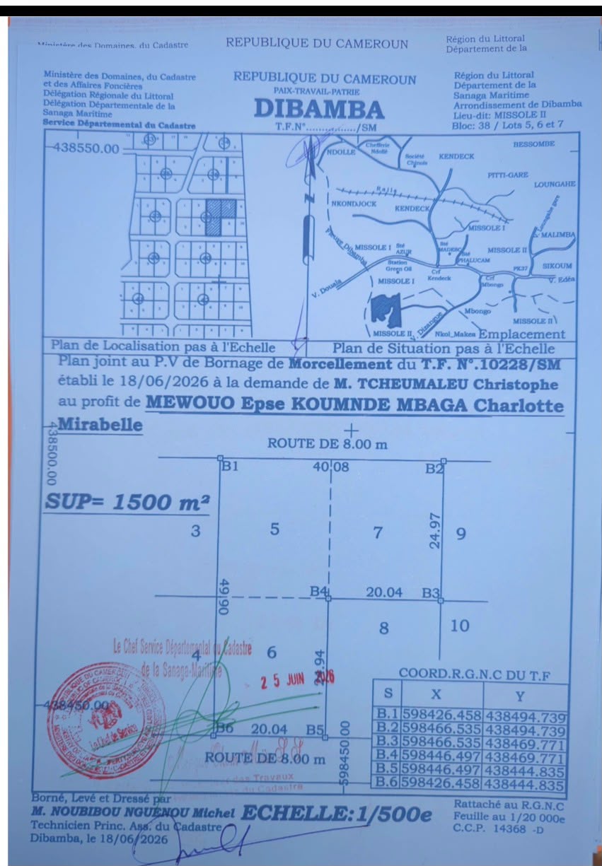Plan de bornage Bloc 38 Lots 5 6 et 7